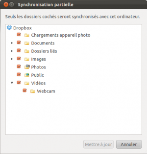 Capture écran de DropBox