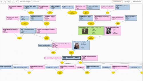 Vue avec greffon Graphview