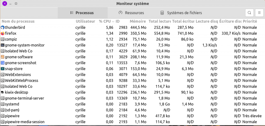 moniteur_systeme2.png