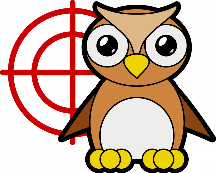 qmotion_hibou.png