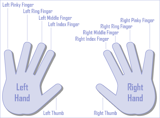 fingerschema.gif