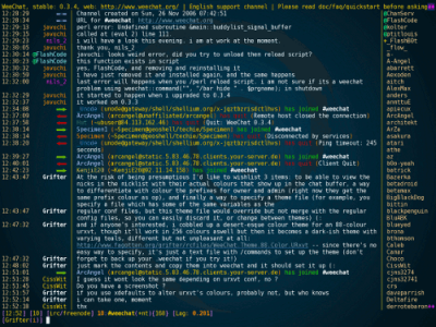 Capture d'écran de Weechat 0.3.4